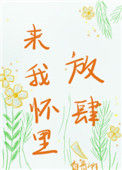 《来我怀里放肆》小说