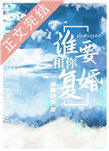《谁要和你复婚》小说