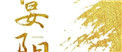 宴阳小说