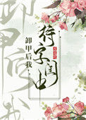 卸甲后我待字闺中图片