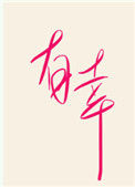 《有幸》小说