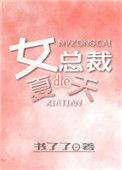 《女总裁的夏天》