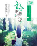 青春正好遇见你小说