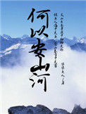 《何以安山河》