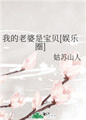 《我的老婆是宝贝[娱乐圈]》