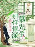 《别样情深慕先生》小说