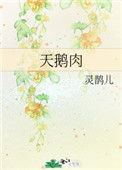 《天鹅肉》小说