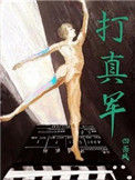 《打真军》小说