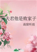 我夫君他是败家子图片