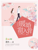 《暖婚甜入骨》