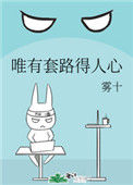 《唯有套路得人心》小说