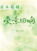 《爱意回响》小说