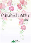 《穿越后我们离婚了》