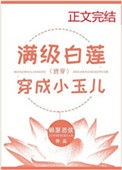 满级白莲穿成小玉儿（清穿）图片