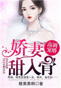 第一暖婚：穆先生，爱妻成瘾小说
