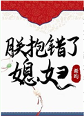《朕抱错了媳妇》小说