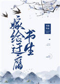 嫁给迂腐书生图片