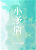 《小矛盾》小说