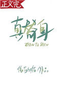 《真替身》小说
