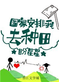 《国家安排我去种田》小说