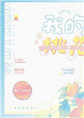 《我的桃花姑娘》小说