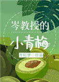 《岑教授的小青梅》小说