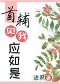 《首辅见我应如是》