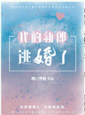 《我的新郎逃婚了》小说