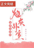 穿成反派的炮灰外室图片