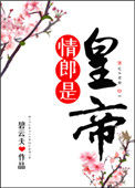 《情郎是皇帝》