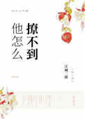 《他怎么撩不到》小说