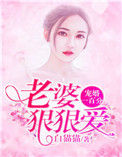 宠婚一百分：老婆，狠狠爱小说