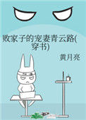 败家子的宠妻青云路（穿书）小说
