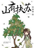 《美人关》小说