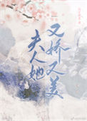《夫人她又娇又美》小说