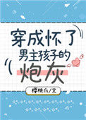 穿成怀了男主孩子的炮灰小说