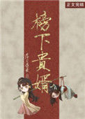 《榜下贵婿》