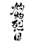 《灼灼烈日》