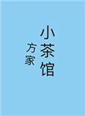 方家小茶馆小说