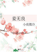 《妾无良（作者：小夜微冷）》