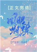 《风眼蝴蝶》