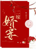 《二嫁娇妾》小说