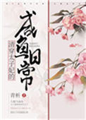 《清穿太子妃的咸鱼日常》