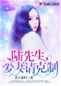 陆先生，爱妻请克制小说