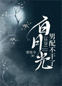 白月光男配不干了（快穿）小说