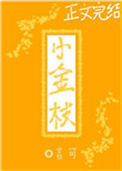 《小金枝》