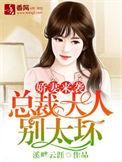 娇妻来袭，总裁大人别太坏小说