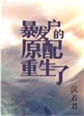 暴发户的前妻重生了[年代]txt电子书下载