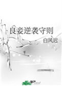 《良妾逆袭守则》