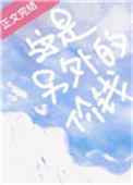 《这是另外的价钱》